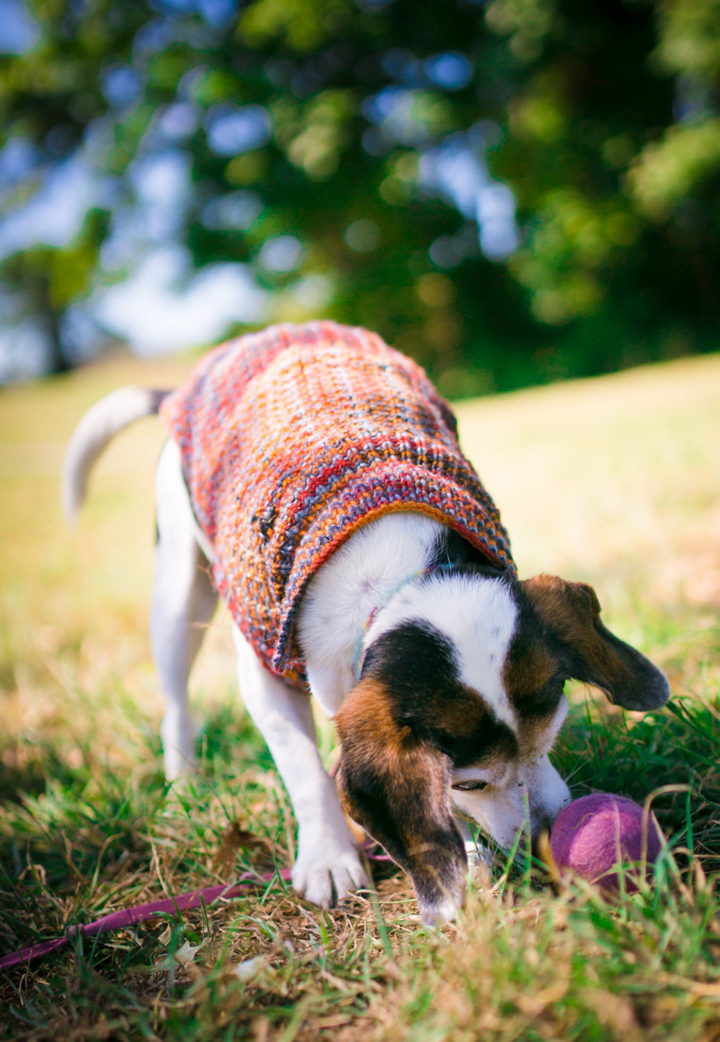 Fetch1.5!  Alpaca Dog Ball in Pink Tweed